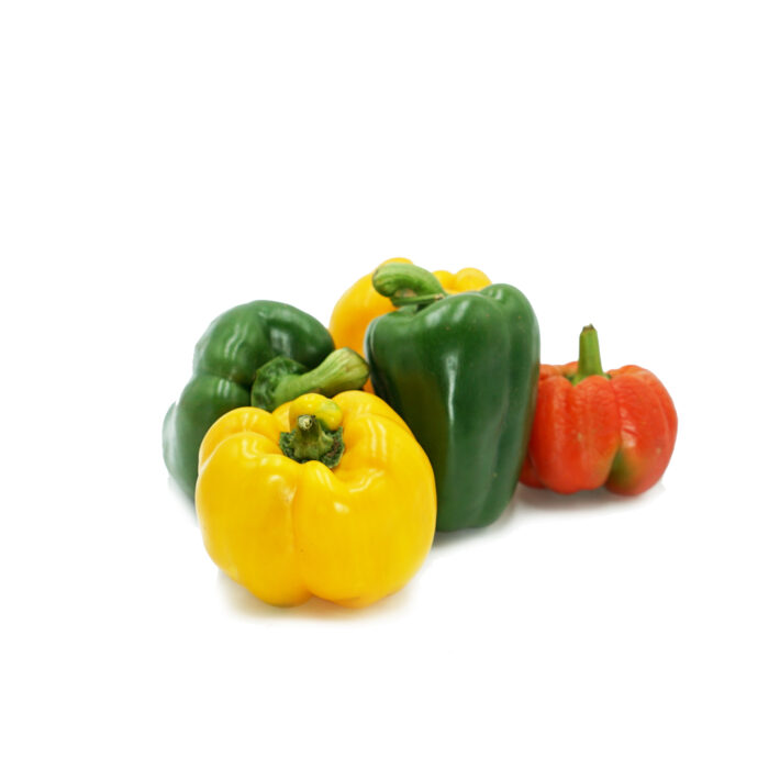 Capsicum