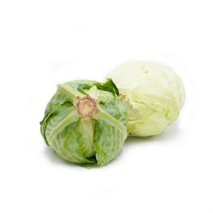 Cabbage