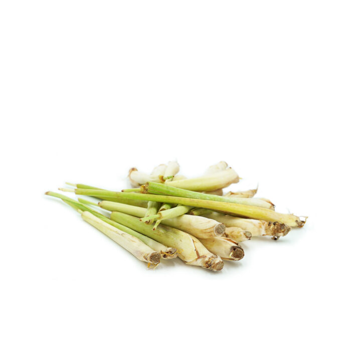 Lemon Grass