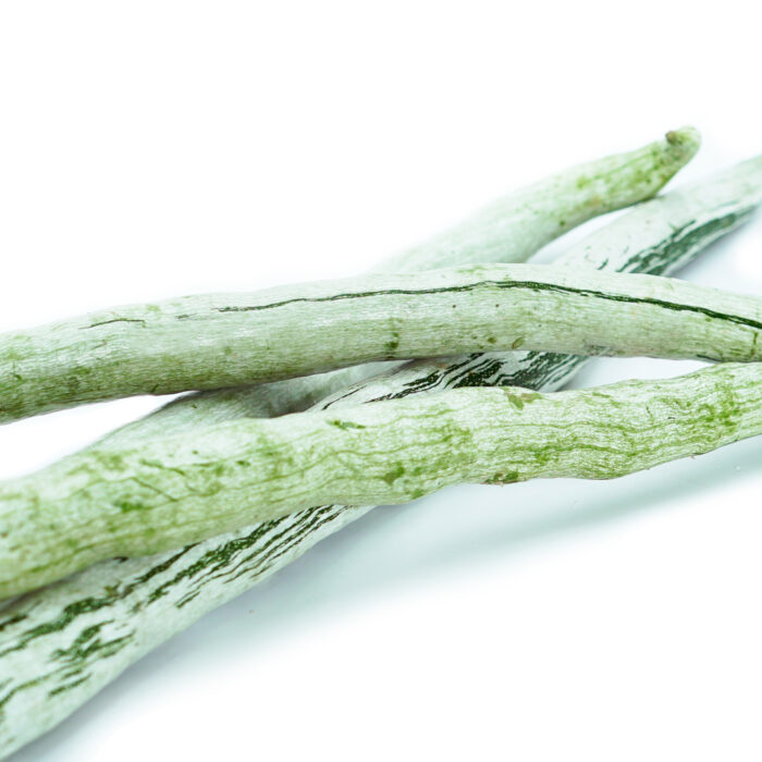 Snake Gourd